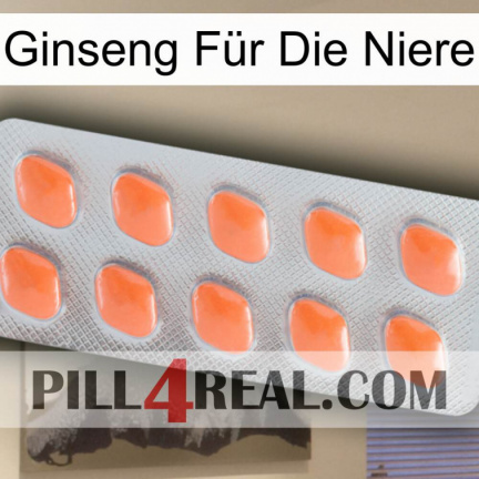 Ginseng Für Die Niere 26